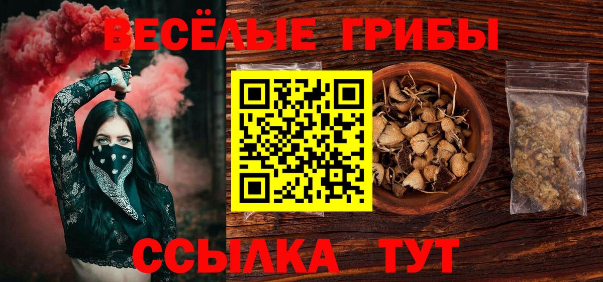 Псилоцибиновые грибы ЛСД  Вход с VPN  Галлюциногенные грибы мицелий  закладка  Дагестанские Огни 