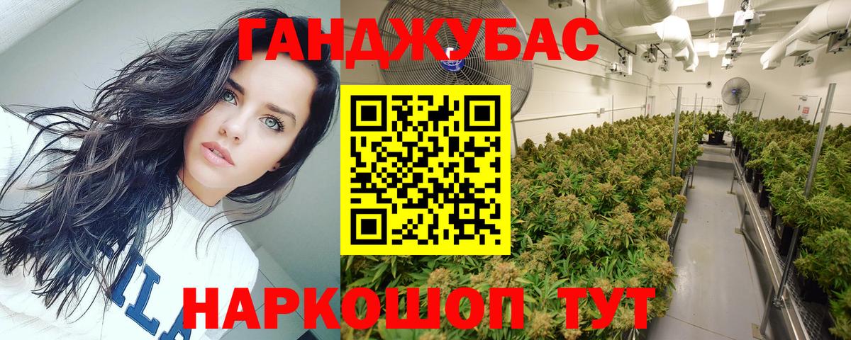 Бошки марихуана тримм  Марихуана MAZAR  Вход с VPN  Дагестанские Огни  МАРИХУАНА тримм 